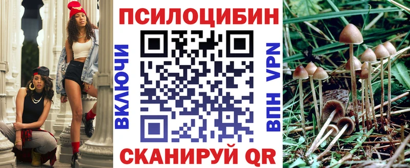 Галлюциногенные грибы GOLDEN TEACHER  наркота  Торопец 